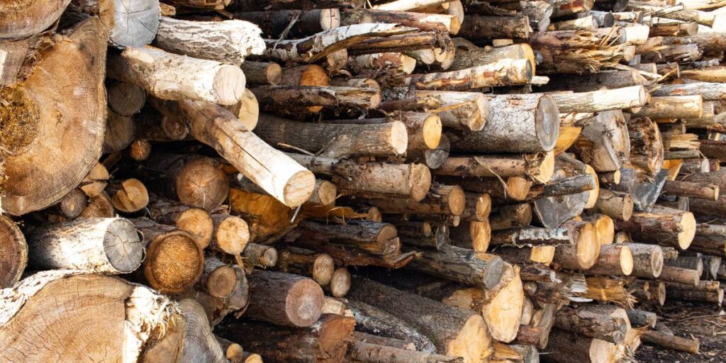 למה בחירת סוג העץ חשובה כל כך למתחילים? עץ אורן לעומת עץ גושני