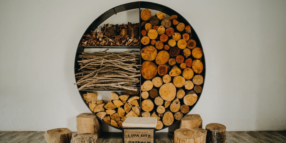 עץ אורן מול עץ גושני